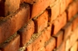  Leasing Immobiliare